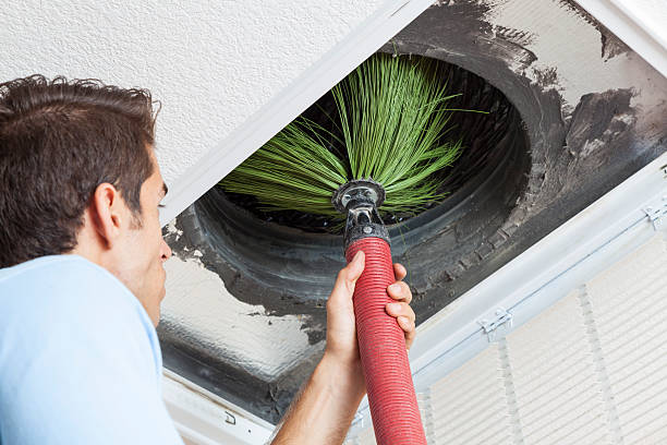Best Air Duct Cleaning Near Me  in Jamul, CA