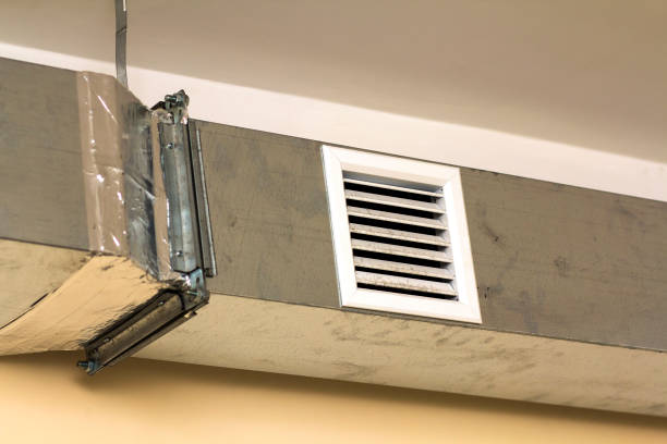 Best Home Air Vent Cleaning  in Jamul, CA